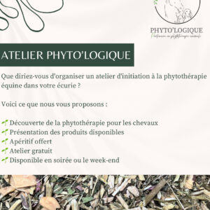 Atelier Phytothérapie