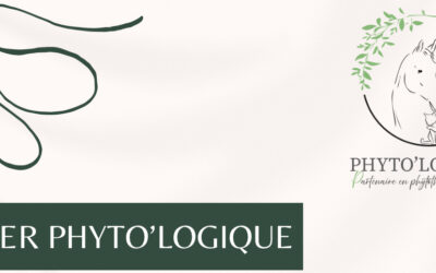 Atelier Phyto’Logique : Phytothérapie équine