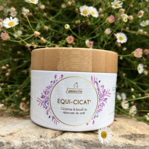 Equi cicat cheval