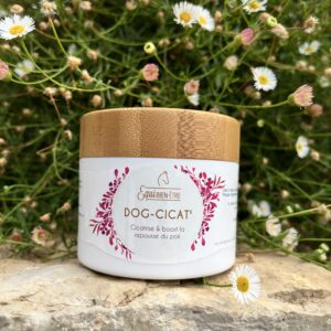 Dog Cicat Equi Bien-être