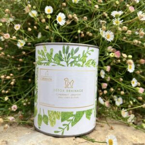 Détox Drainage chiens chats