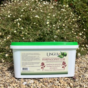 Harpagophytum