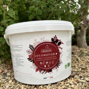 Complément Locomotion +