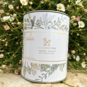 Loco motion Equi Bien être