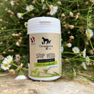 Vermifuge naturel